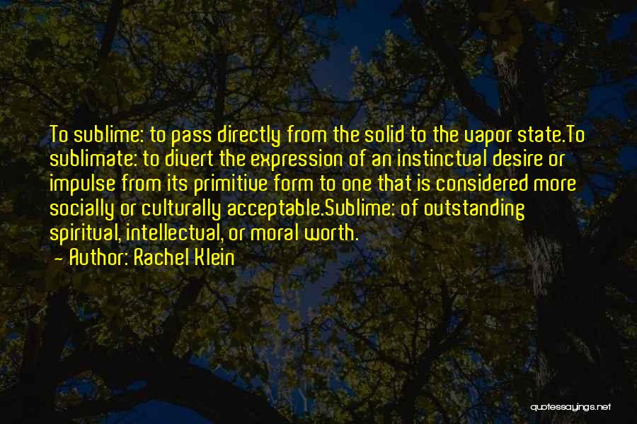 Rachel Klein Quotes 1776175