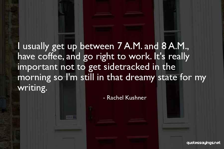 Rachel Kushner Quotes 1740012