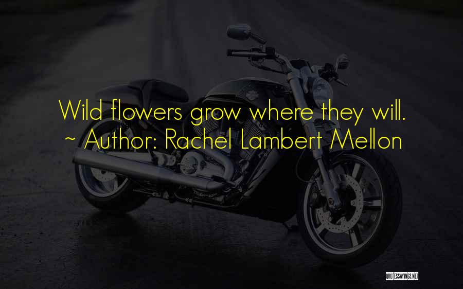 Rachel Lambert Mellon Quotes 2261001