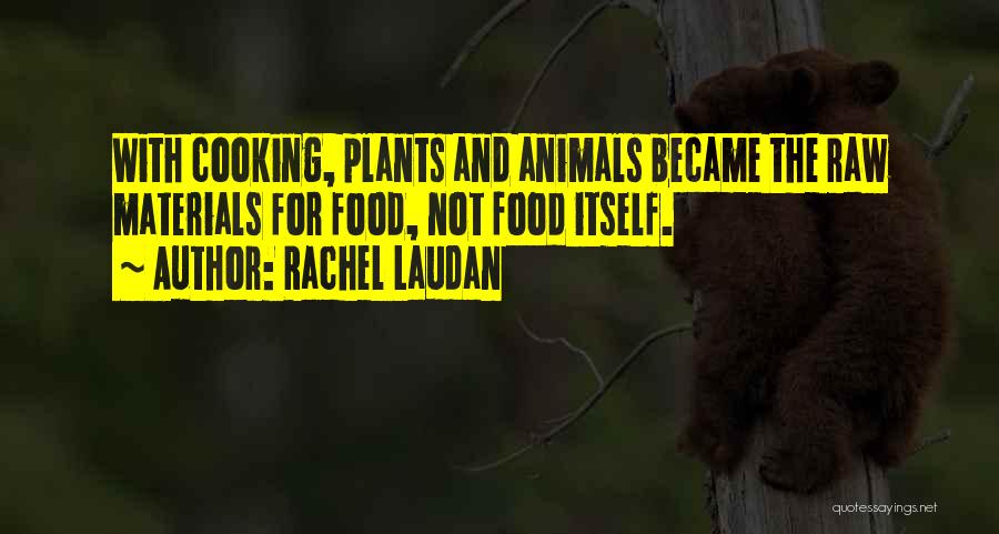 Rachel Laudan Quotes 1174004