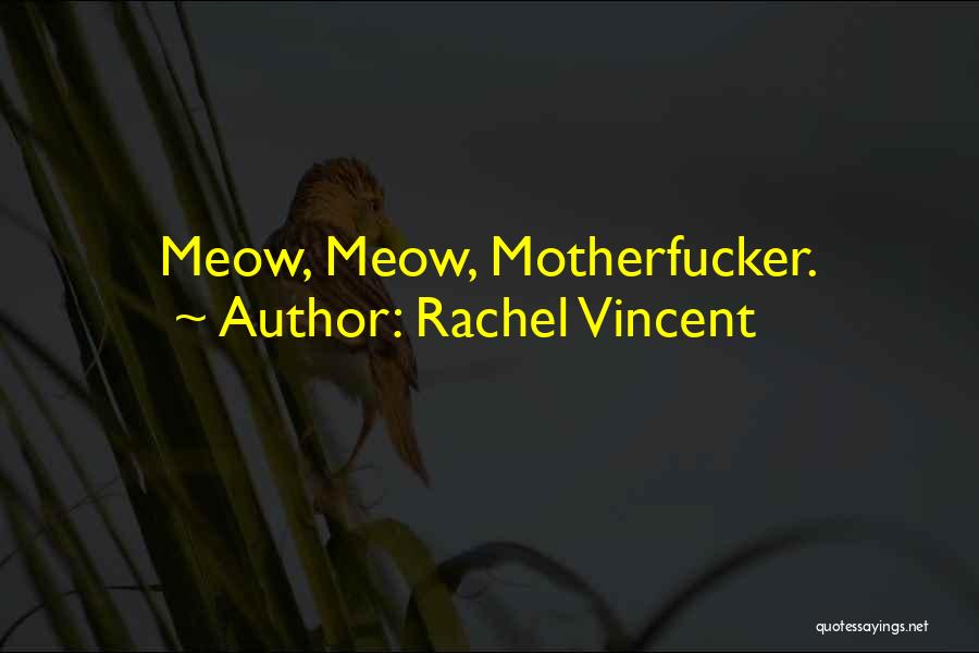 Rachel Vincent Quotes 1725726