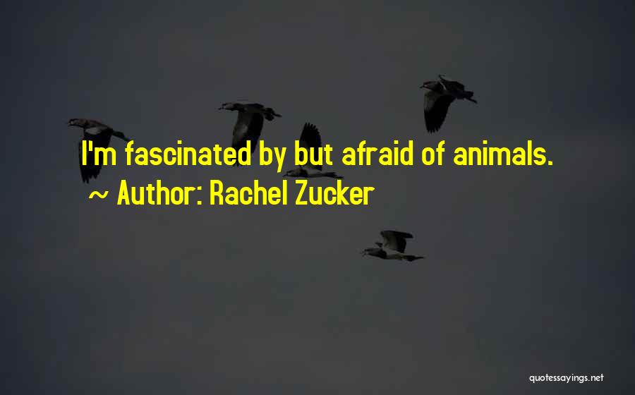 Rachel Zucker Quotes 252056