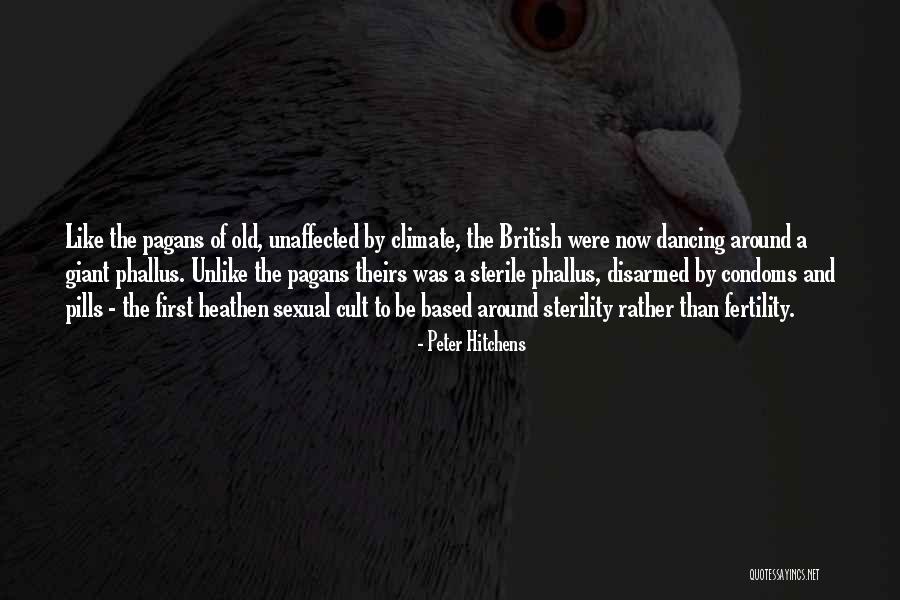 Rachellauren Quotes By Peter Hitchens Rachellauren Quotes By Peter Hitchens