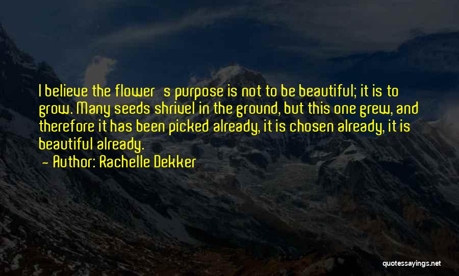 Rachelle Dekker Quotes 2047487