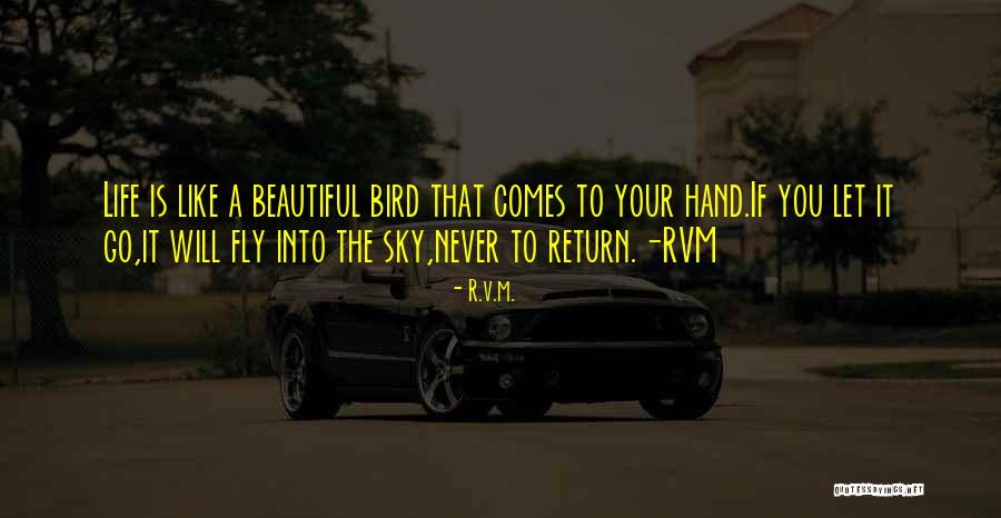 Rachmanova Quotes By R.v.m. Rachmanova Quotes By R.v.m.