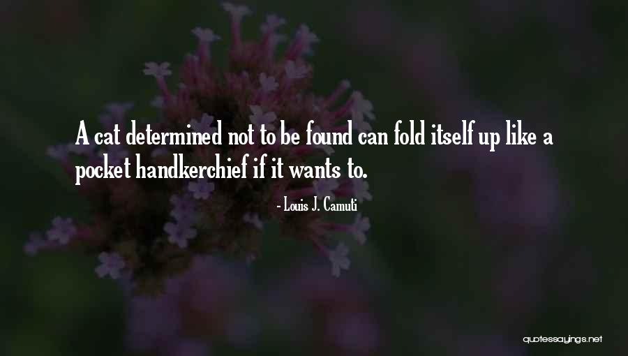 Rachna Sizemore Quotes By Louis J. Camuti Rachna Sizemore Quotes By Louis J. Camuti