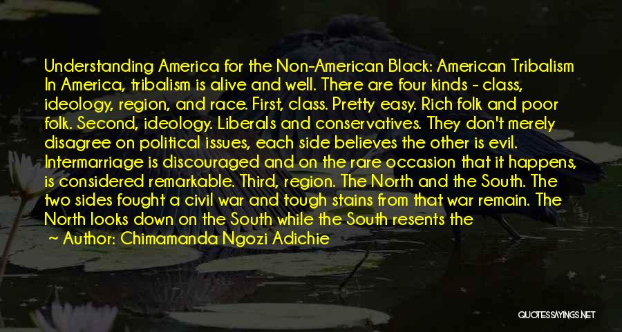 Racial Issues Quotes By Chimamanda Ngozi Adichie