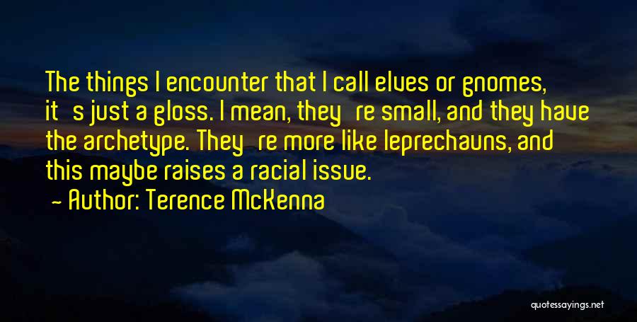 Racial Issues Quotes By Terence McKenna