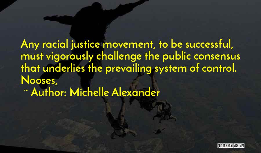 Racial Justice Quotes By Michelle Alexander