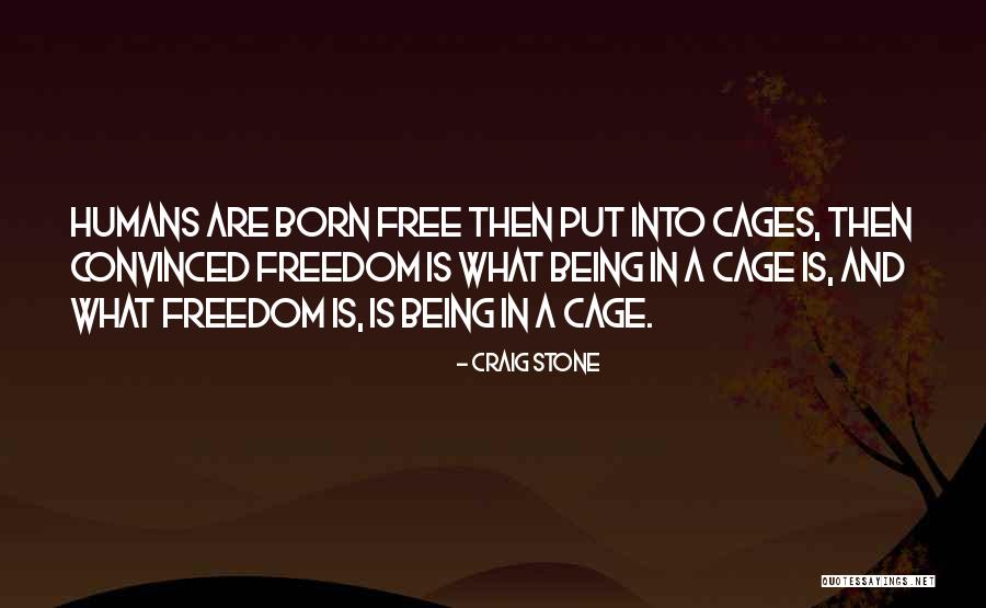 Racial Policy Quotes By Craig Stone Racial Policy Quotes By Craig Stone