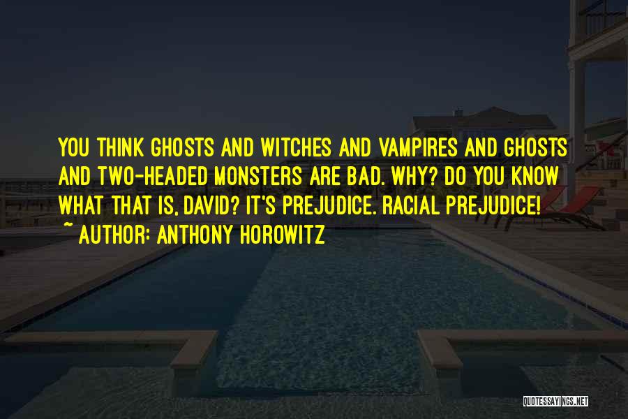 Racial Prejudice Quotes By Anthony Horowitz