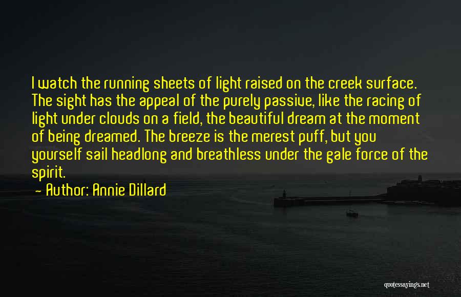 Racing Running Quotes By Annie Dillard