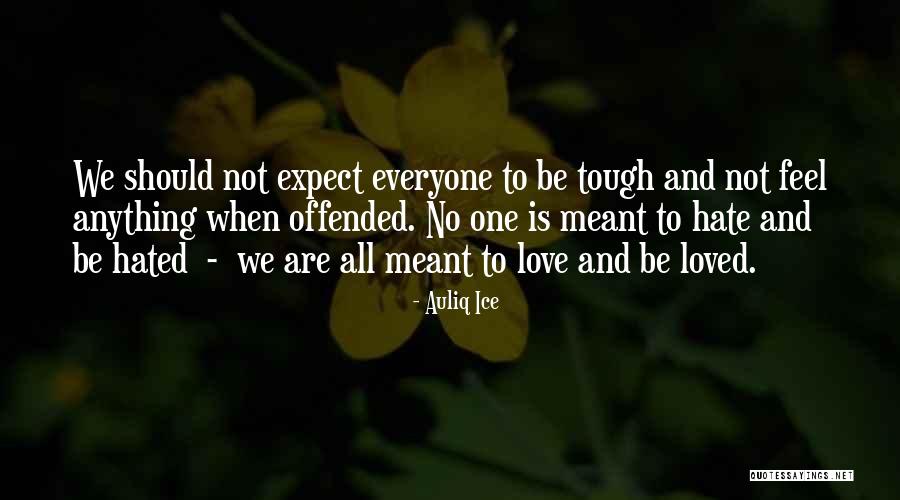 Racism And Hate Quotes By Auliq Ice Racism And Hate Quotes By Auliq Ice