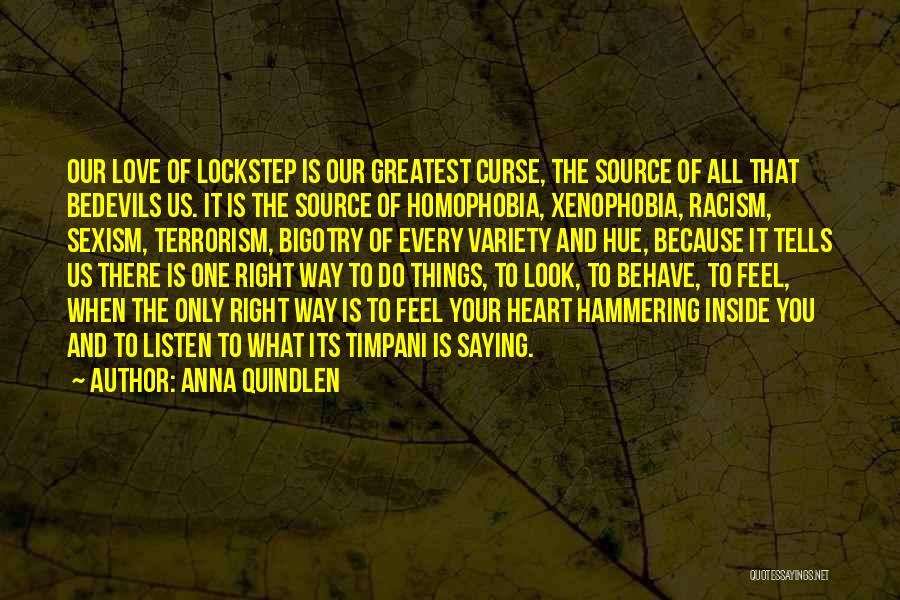 Racism And Homophobia Quotes By Anna Quindlen