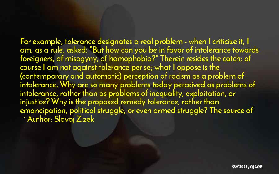 Racism And Homophobia Quotes By Slavoj Zizek