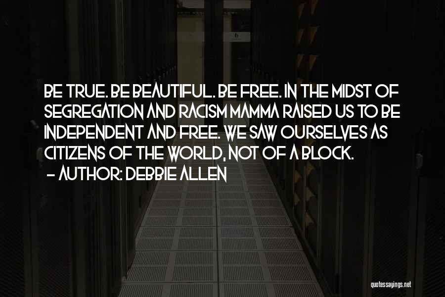 Racism And Segregation Quotes By Debbie Allen
