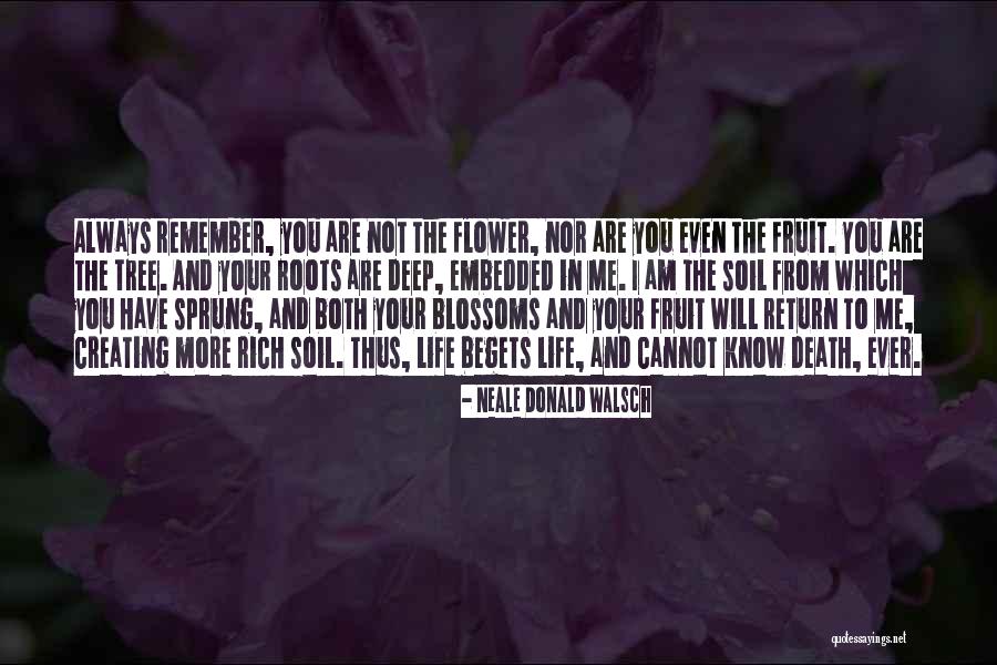 Racism Is Learned Quotes By Neale Donald Walsch