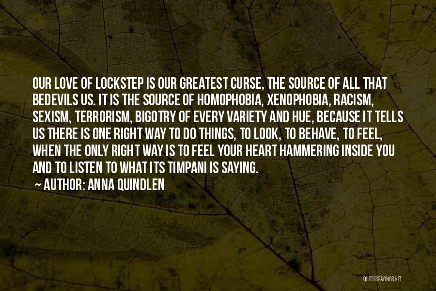 Racism Sexism Homophobia Quotes By Anna Quindlen