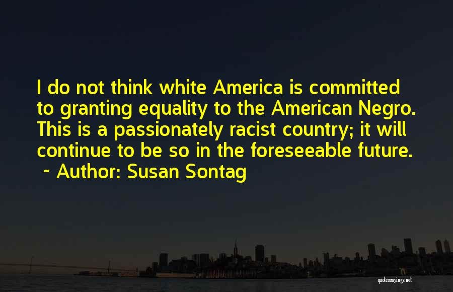 Racist Quotes By Susan Sontag