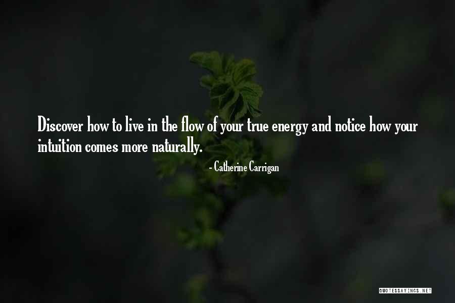Radacini Srl Quotes By Catherine Carrigan Radacini Srl Quotes By Catherine Carrigan