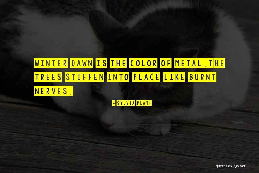 Radakovich Bellingham Quotes By Sylvia Plath Radakovich Bellingham Quotes By Sylvia Plath