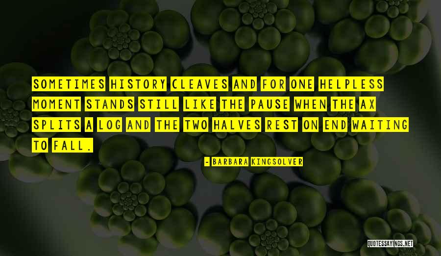 Radcliffes Grocery Quotes By Barbara Kingsolver Radcliffes Grocery Quotes By Barbara Kingsolver