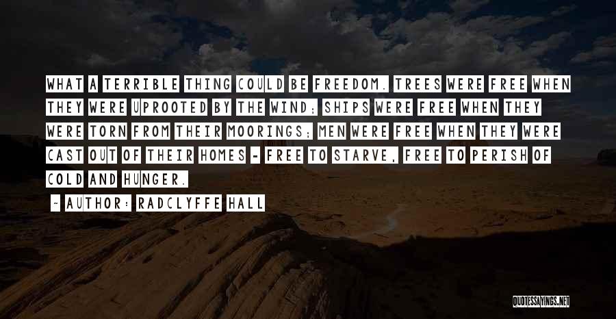 Radclyffe Quotes By Radclyffe Hall