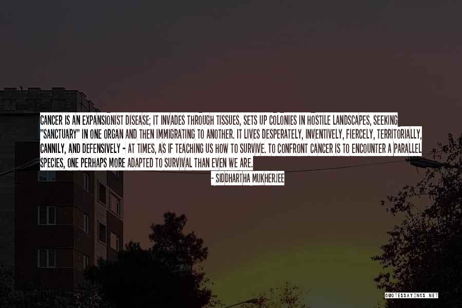 Raddad Ayoub Quotes By Siddhartha Mukherjee Raddad Ayoub Quotes By Siddhartha Mukherjee