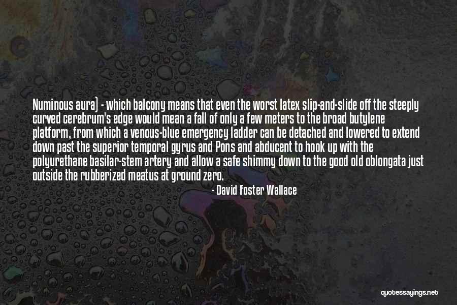Radeji Slovn Druh Quotes By David Foster Wallace Radeji Slovn Druh Quotes By David Foster Wallace