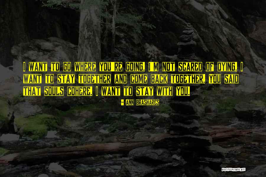 Rademaker Quotes By Ann Brashares Rademaker Quotes By Ann Brashares