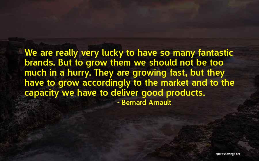 Radetzky Marsch Quotes By Bernard Arnault Radetzky Marsch Quotes By Bernard Arnault