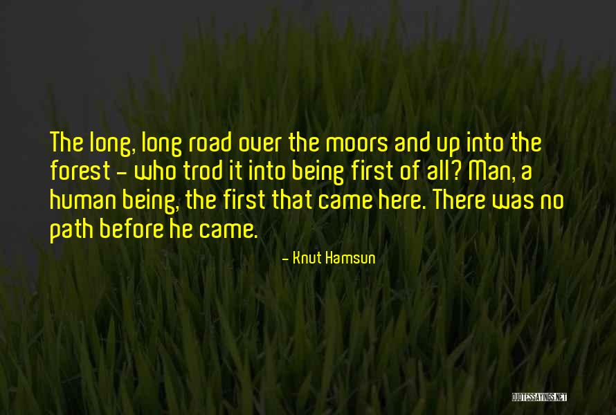 Radha Shyam Quotes By Knut Hamsun Radha Shyam Quotes By Knut Hamsun