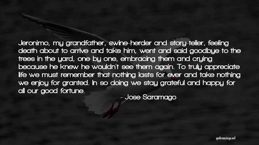 Radhakrishnan Teachers Quotes By Jose Saramago Radhakrishnan Teachers Quotes By Jose Saramago