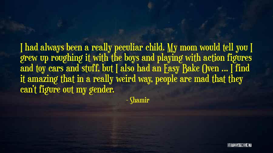 Radhika Kumaraswamy Quotes By Shamir Radhika Kumaraswamy Quotes By Shamir