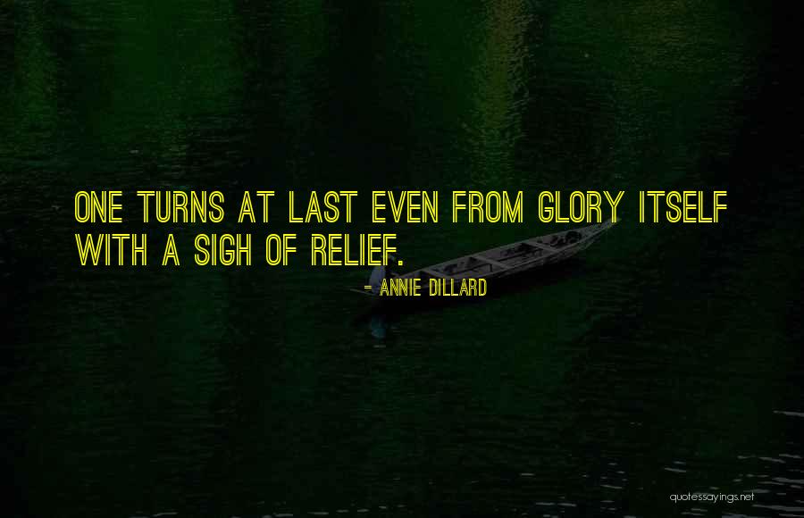 Radiadores Electricos Quotes By Annie Dillard Radiadores Electricos Quotes By Annie Dillard
