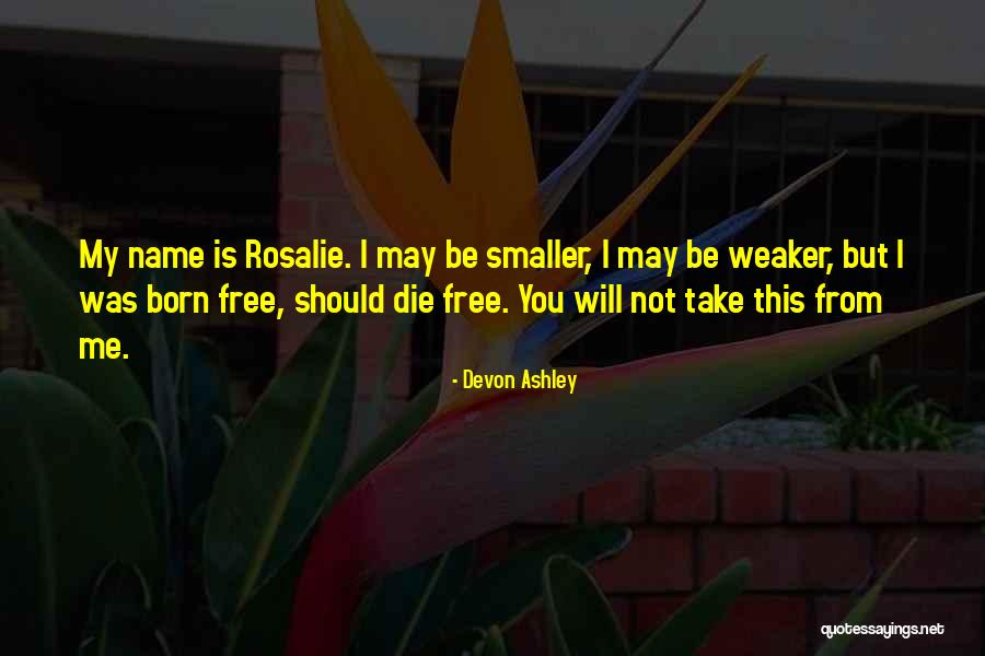 Radiadores Electricos Quotes By Devon Ashley Radiadores Electricos Quotes By Devon Ashley