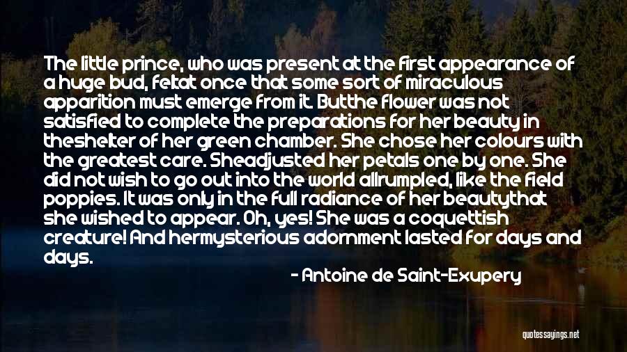 Radiance Beauty Quotes By Antoine De Saint-Exupery Radiance Beauty Quotes By Antoine De Saint-Exupery