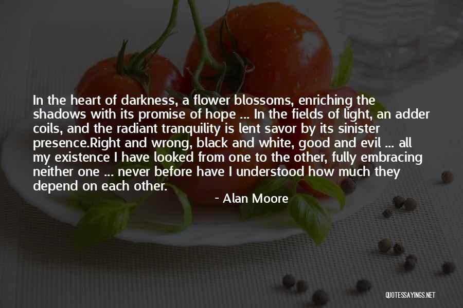 Radiant Shadows Quotes By Alan Moore Radiant Shadows Quotes By Alan Moore