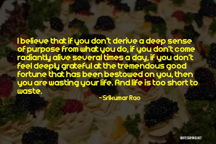 Radiantly You Quotes By Srikumar Rao Radiantly You Quotes By Srikumar Rao