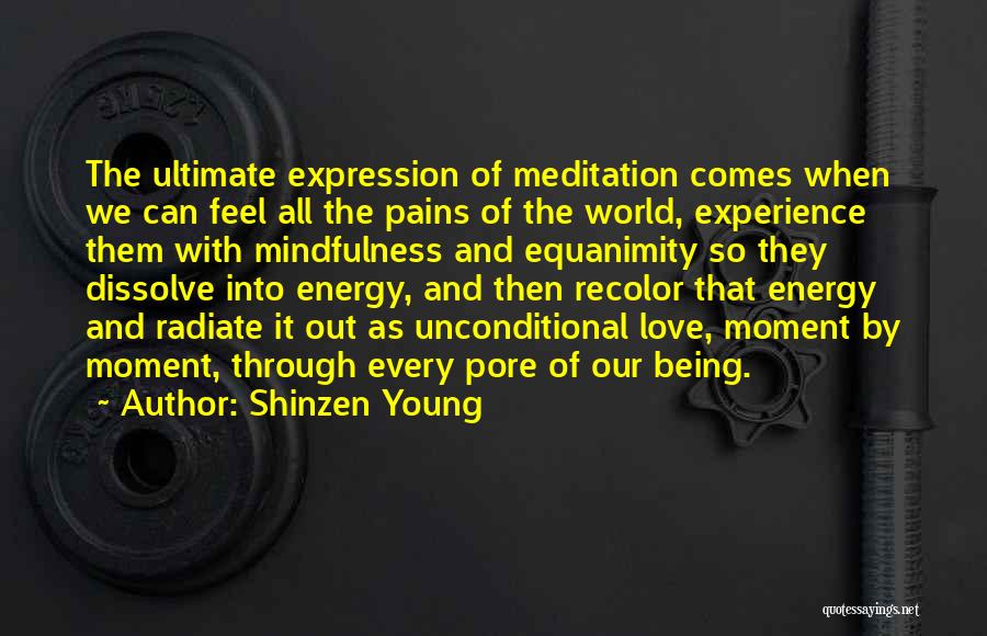 Radiate Love Quotes By Shinzen Young