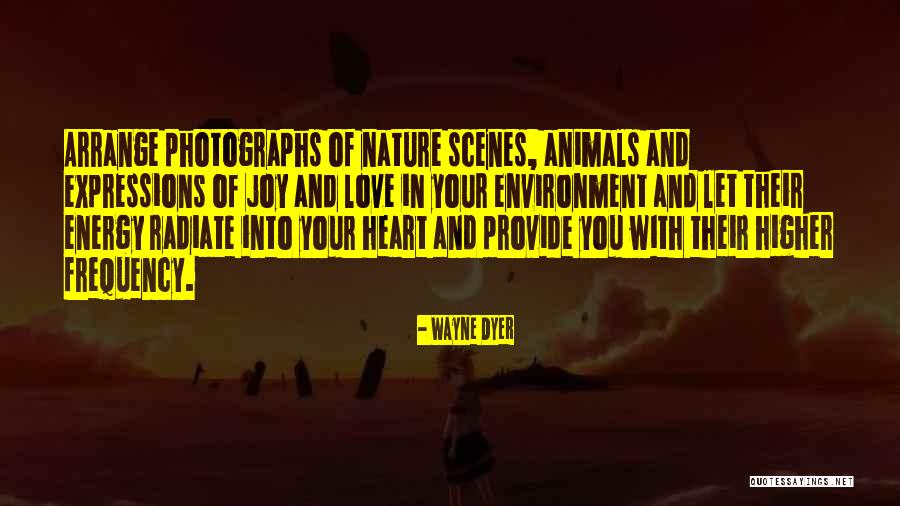 Radiate Quotes By Wayne Dyer Radiate Quotes By Wayne Dyer
