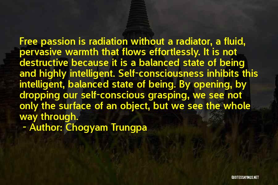 Radiator Quotes By Chogyam Trungpa