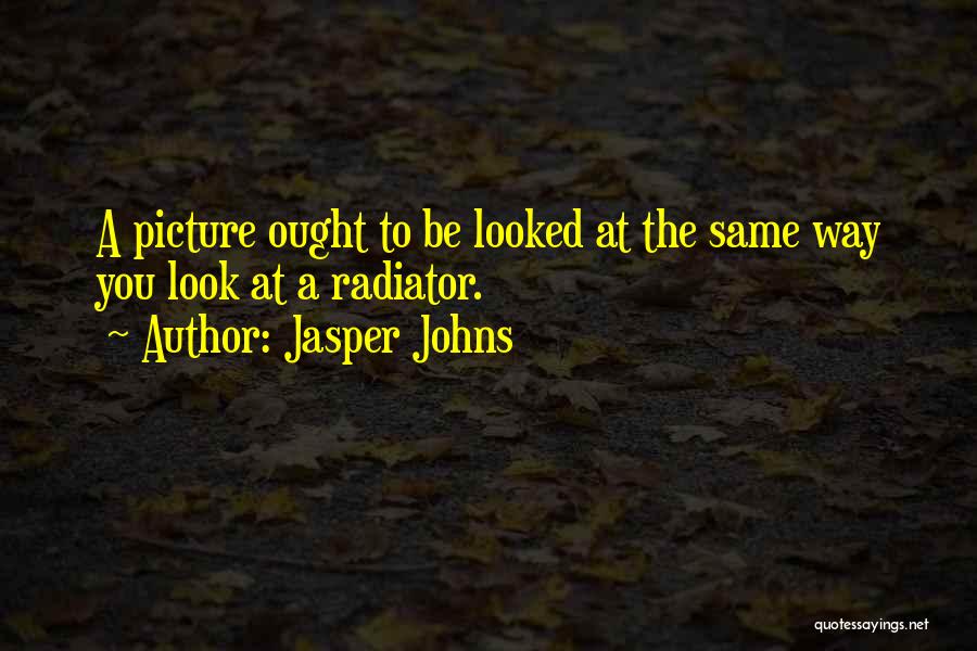 Radiator Quotes By Jasper Johns