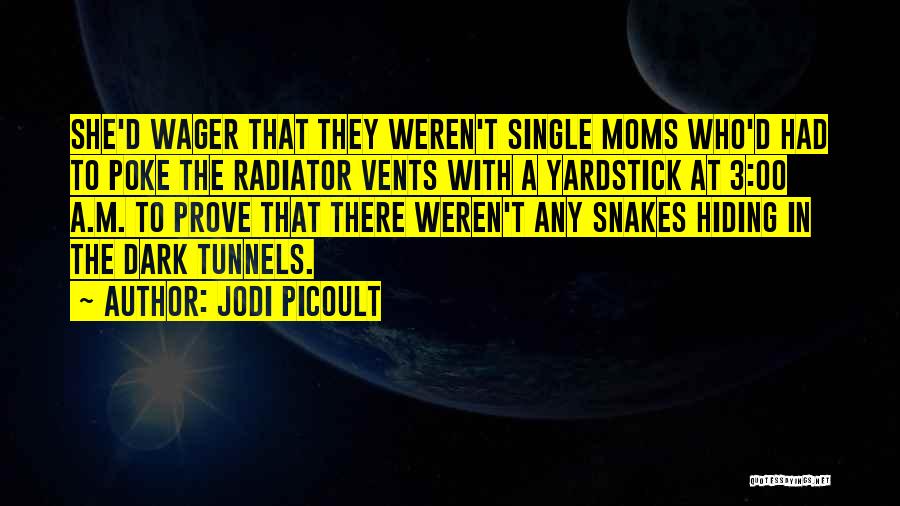 Radiator Quotes By Jodi Picoult