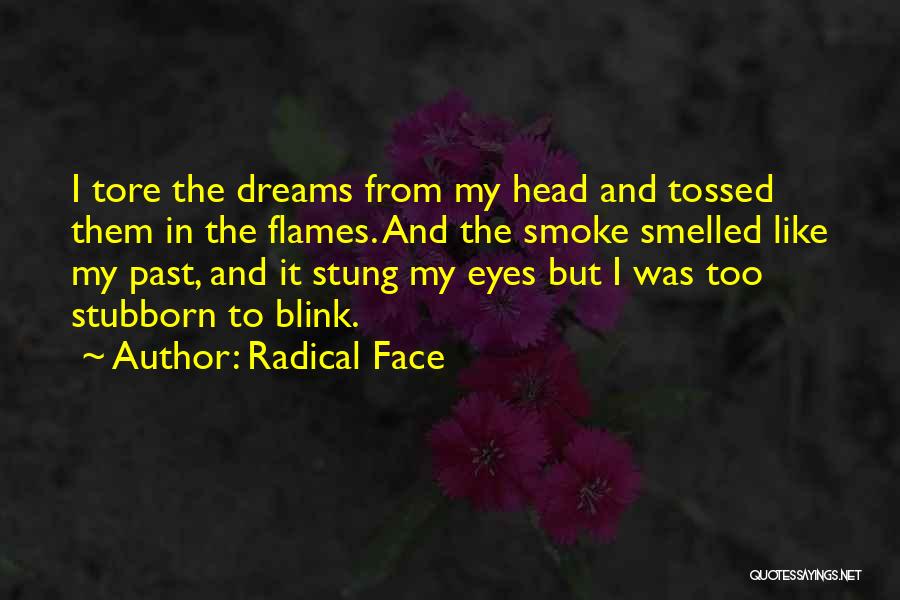 Radical Face Quotes 449244