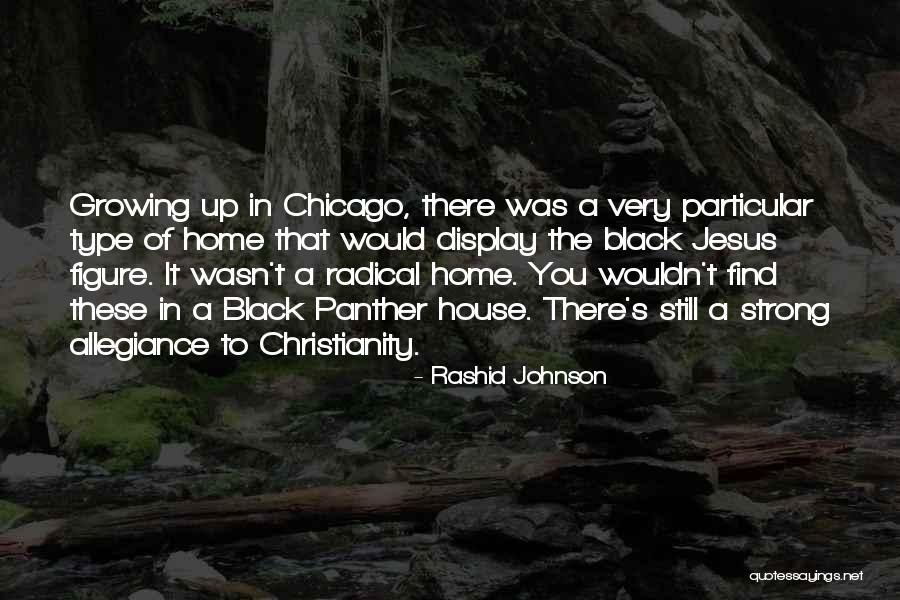 Radical Jesus Quotes By Rashid Johnson