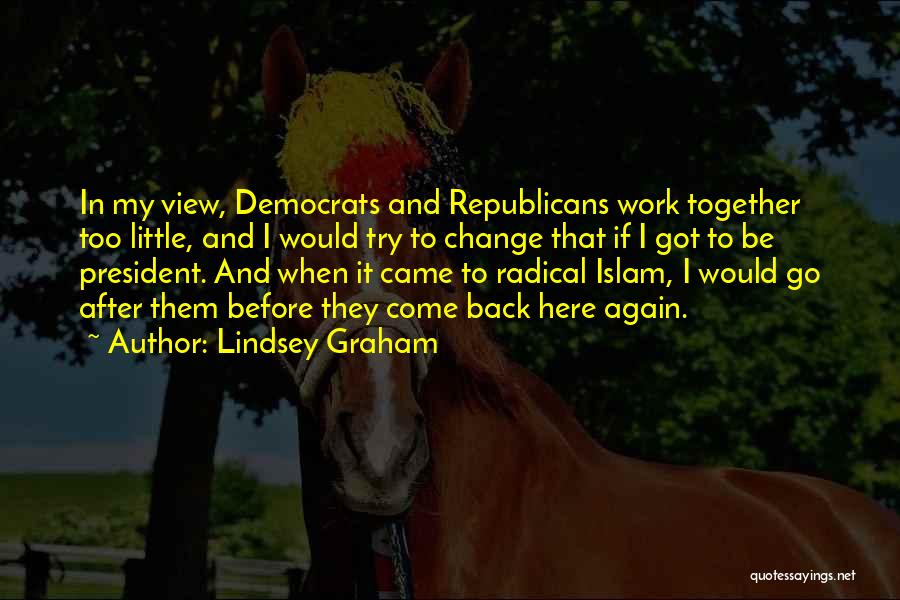 Radical Republicans Quotes By Lindsey Graham