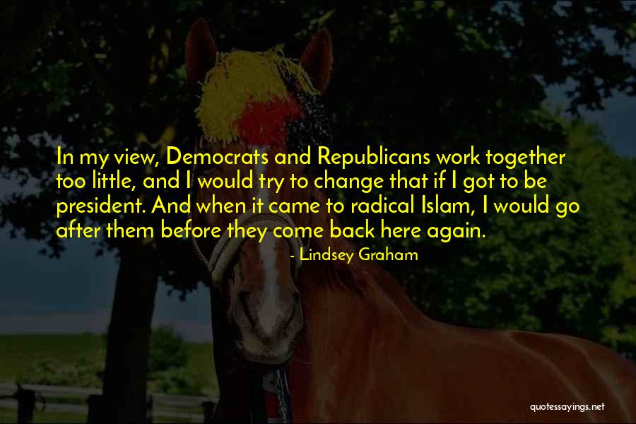 Radical Republicans Quotes By Lindsey Graham