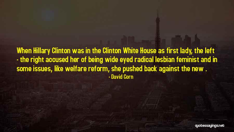 Radical Right Quotes By David Corn Radical Right Quotes By David Corn