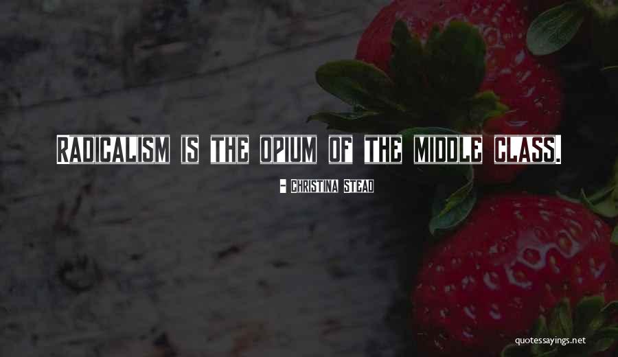 Radicalism Quotes By Christina Stead Radicalism Quotes By Christina Stead